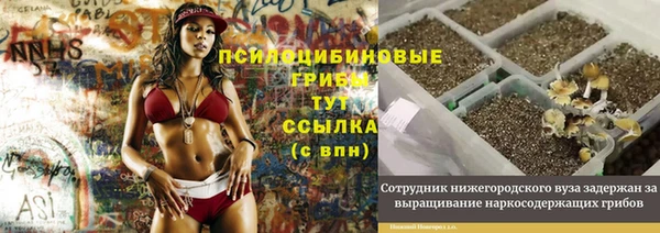 соль ск Нефтекумск