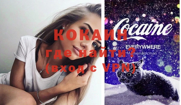 хмурый Белая Холуница