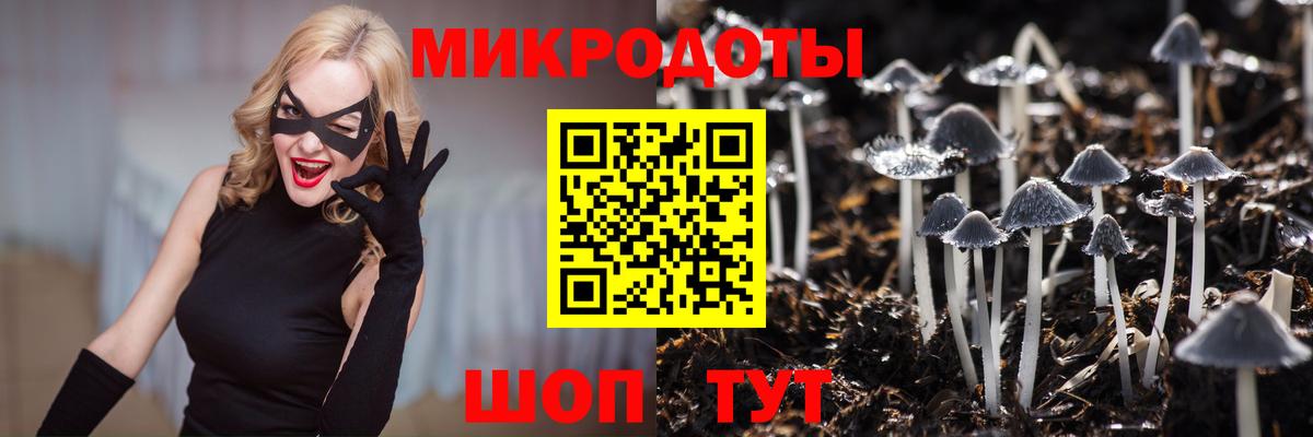 Галлюциногенные грибы мухоморы  Псилоцибиновые грибы ЛСД  Вход с VPN  Новоалександровск 