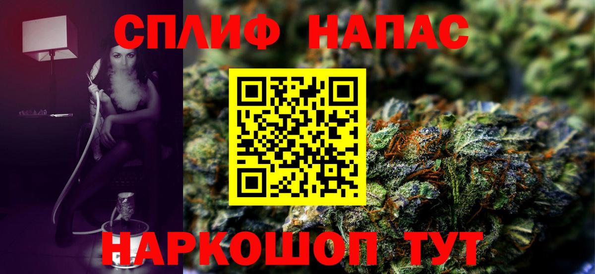 Конопля сатива Новоалександровск